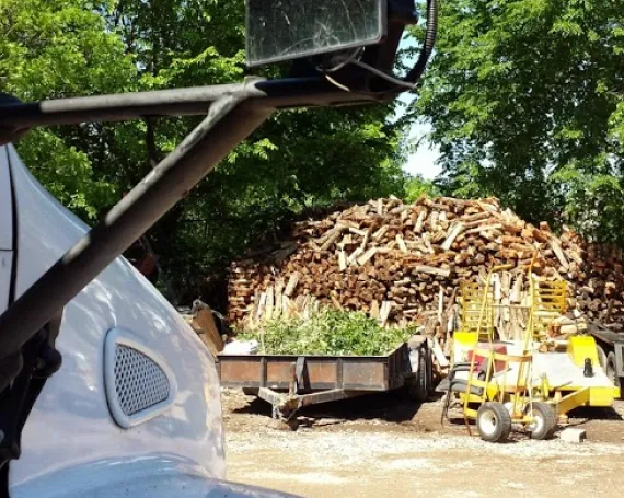 Firewood Options for Homes and Outdoor Use