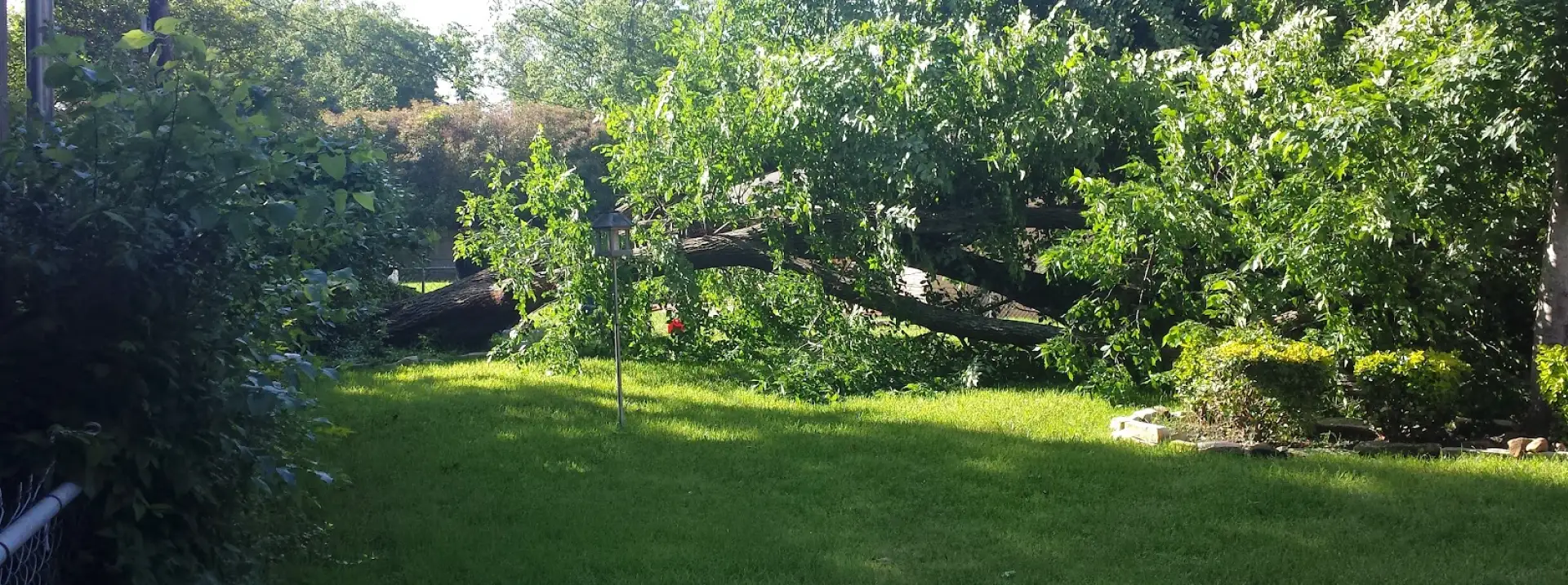 Landscaping Yard Treatments Breadcrumb