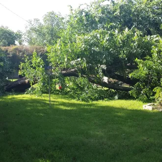 Landscaping Yard Treatments Slider