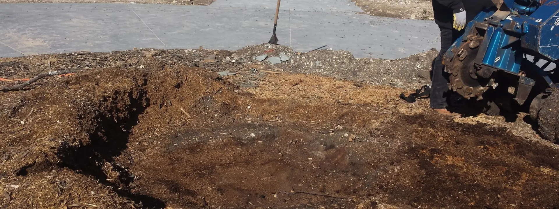 Stump Grinding and Stump Removal Breadcrumb