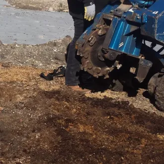 Stump Grinding and Stump Removal Slider