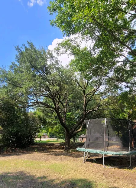 Tree Care and Property Support Services